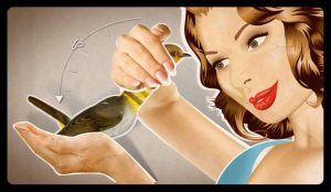 כללים לשמירה על הבולבולים